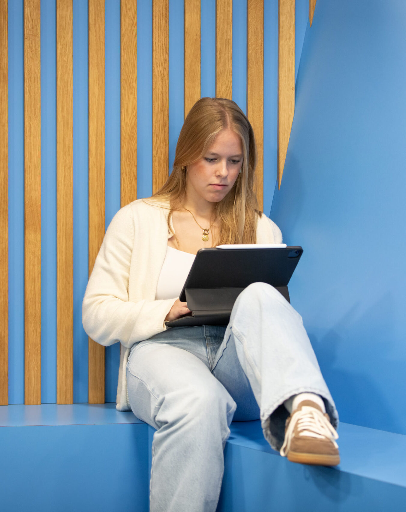 Berufsabschluss und Studium