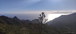 Erasmus+ Fortbildung