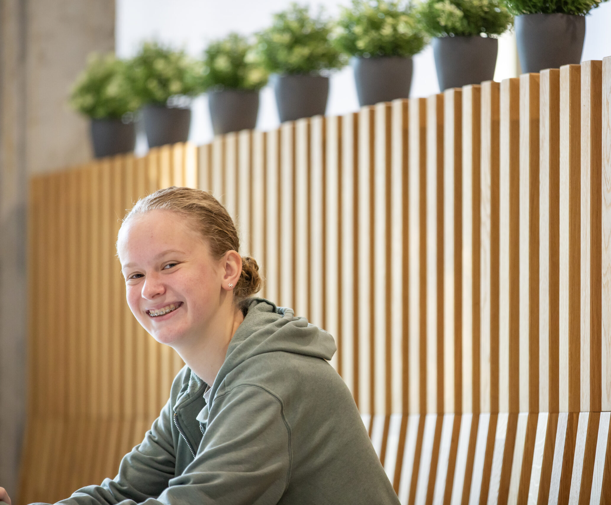 BBZ Dithmarschen Photo #3